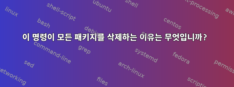 이 명령이 모든 패키지를 삭제하는 이유는 무엇입니까?