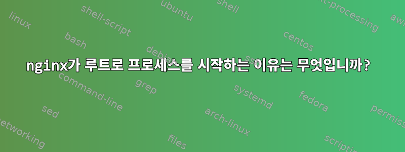 nginx가 루트로 프로세스를 시작하는 이유는 무엇입니까?