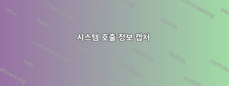 시스템 호출 정보 캡처