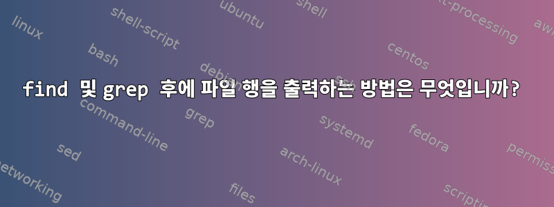 find 및 grep 후에 파일 행을 출력하는 방법은 무엇입니까?