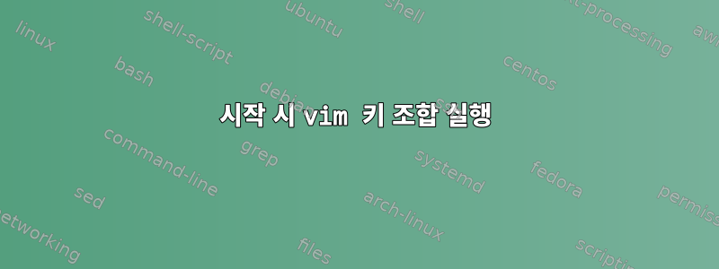 시작 시 vim 키 조합 실행