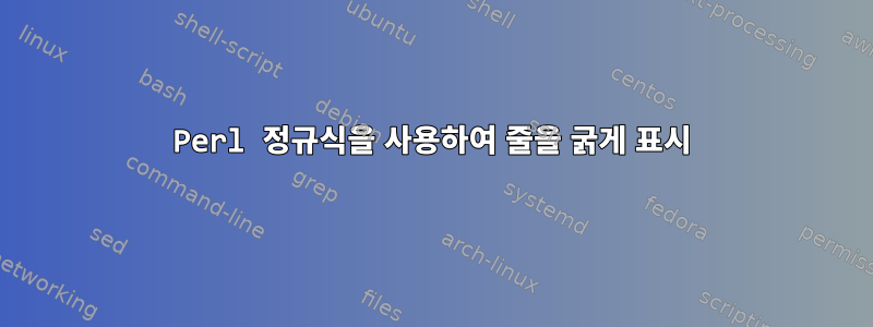 Perl 정규식을 사용하여 줄을 굵게 표시