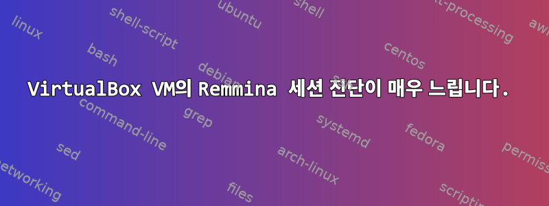 VirtualBox VM의 Remmina 세션 진단이 매우 느립니다.