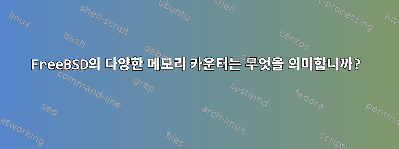 FreeBSD의 다양한 메모리 카운터는 무엇을 의미합니까?