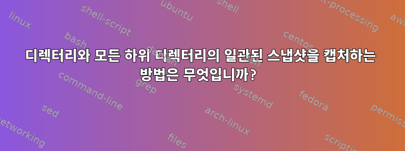 디렉터리와 모든 하위 디렉터리의 일관된 스냅샷을 캡처하는 방법은 무엇입니까?