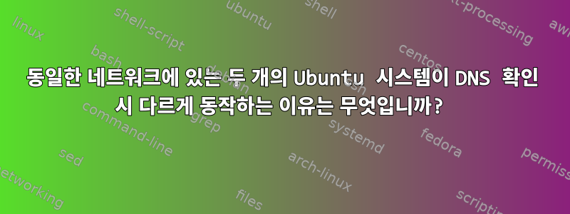 동일한 네트워크에 있는 두 개의 Ubuntu 시스템이 DNS 확인 시 다르게 동작하는 이유는 무엇입니까?