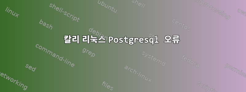 칼리 리눅스 Postgresql 오류