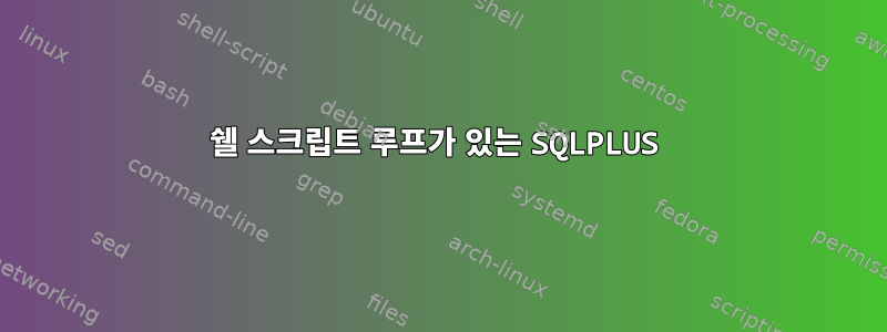 쉘 스크립트 루프가 있는 SQLPLUS