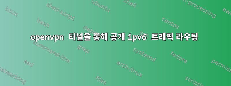 openvpn 터널을 통해 공개 ipv6 트래픽 라우팅