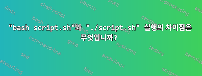 "bash script.sh"와 "./script.sh" 실행의 차이점은 무엇입니까?