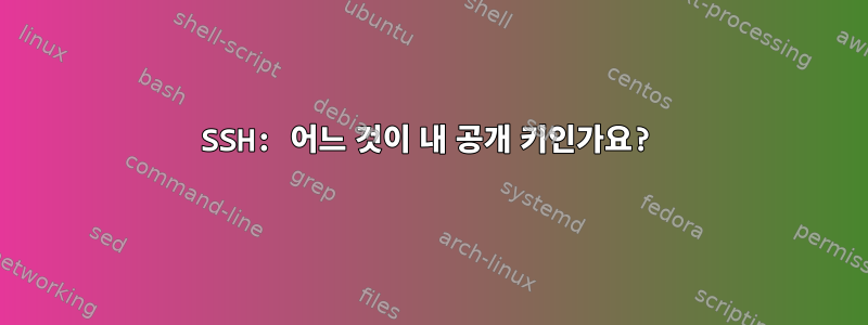 SSH: 어느 것이 내 공개 키인가요?