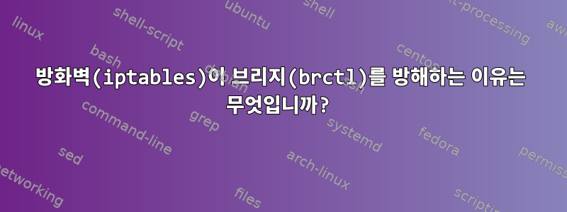 방화벽(iptables)이 브리지(brctl)를 방해하는 이유는 무엇입니까?