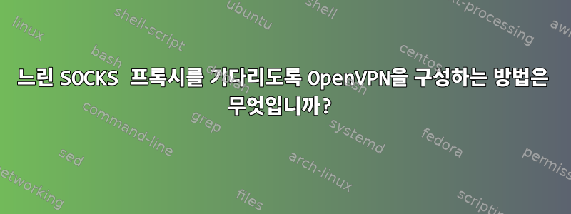 느린 SOCKS 프록시를 기다리도록 OpenVPN을 구성하는 방법은 무엇입니까?