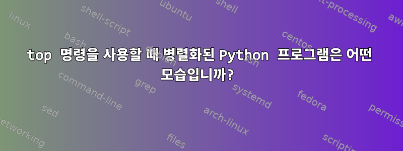 top 명령을 사용할 때 병렬화된 Python 프로그램은 어떤 모습입니까?