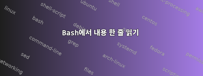 Bash에서 내용 한 줄 읽기