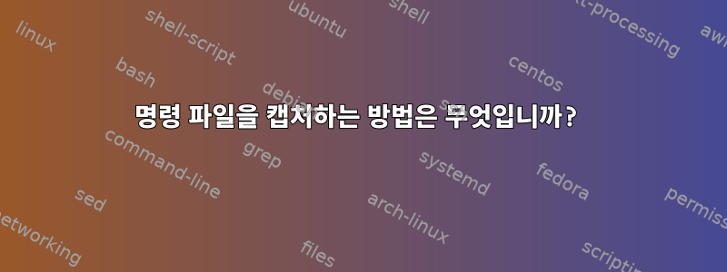 명령 파일을 캡처하는 방법은 무엇입니까?