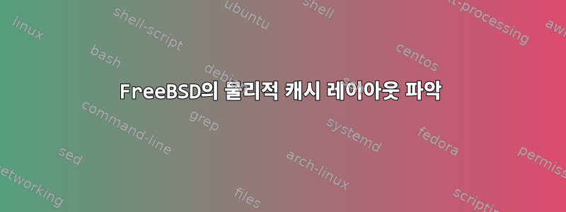 FreeBSD의 물리적 캐시 레이아웃 파악