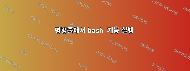 명령줄에서 bash 기능 실행