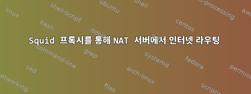 Squid 프록시를 통해 NAT 서버에서 인터넷 라우팅