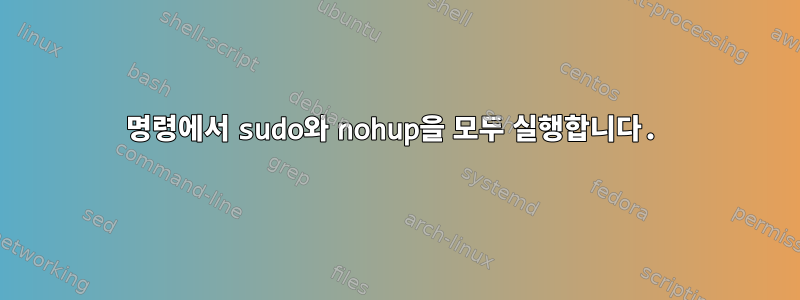 명령에서 sudo와 nohup을 모두 실행합니다.