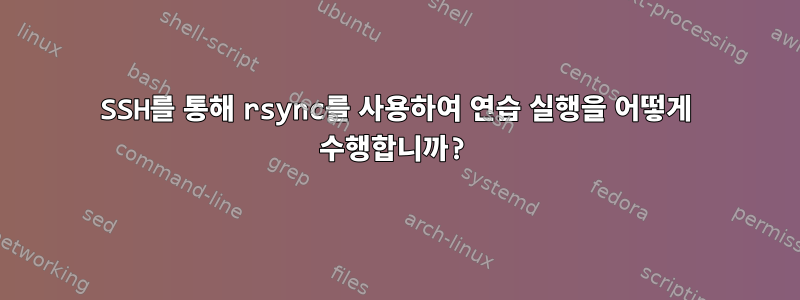 SSH를 통해 rsync를 사용하여 연습 실행을 어떻게 수행합니까?