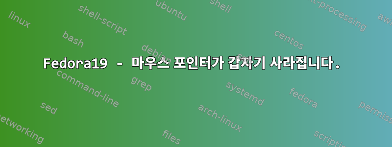 Fedora19 - 마우스 포인터가 갑자기 사라집니다.