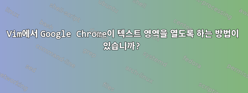 Vim에서 Google Chrome이 텍스트 영역을 열도록 하는 방법이 있습니까?