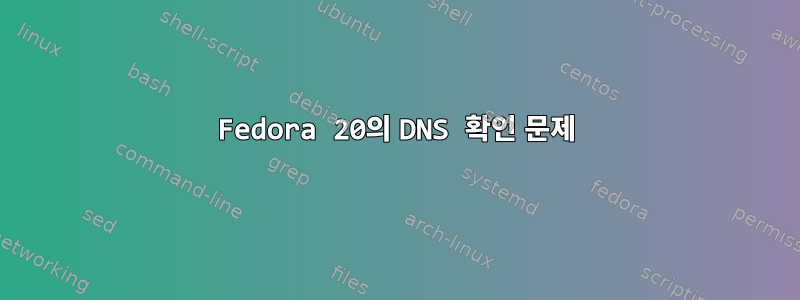 Fedora 20의 DNS 확인 문제