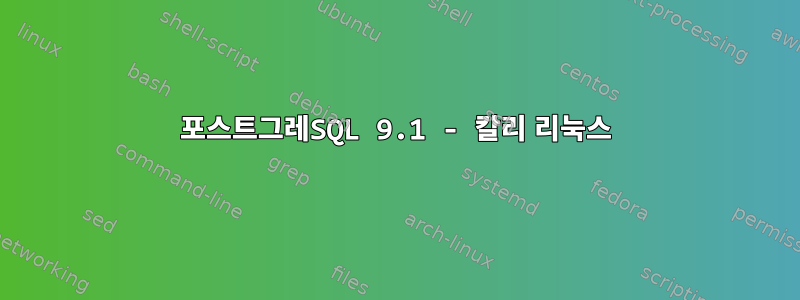 포스트그레SQL 9.1 - 칼리 리눅스