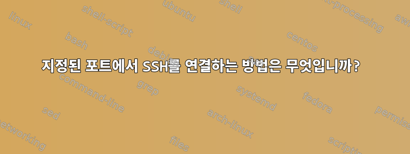 지정된 포트에서 SSH를 연결하는 방법은 무엇입니까?