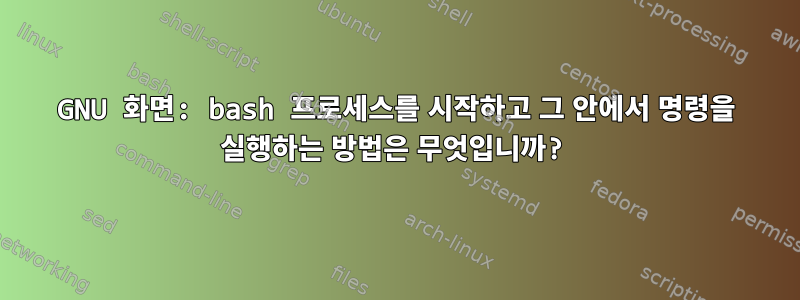 GNU 화면: bash 프로세스를 시작하고 그 안에서 명령을 실행하는 방법은 무엇입니까?