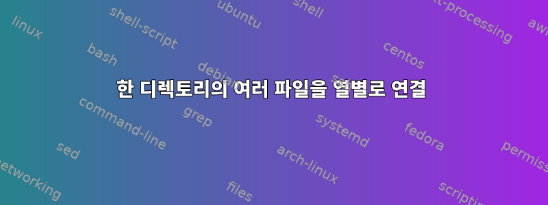 한 디렉토리의 여러 파일을 열별로 연결