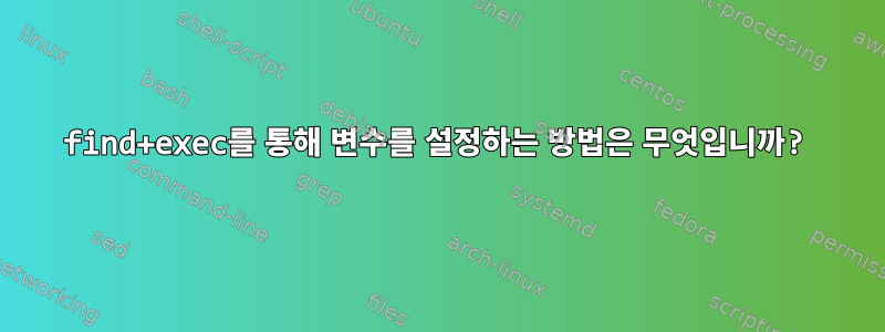 find+exec를 통해 변수를 설정하는 방법은 무엇입니까?