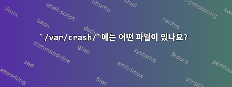 `/var/crash/`에는 어떤 파일이 있나요?