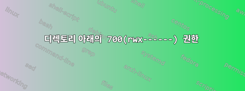 디렉토리 아래의 700(rwx------) 권한