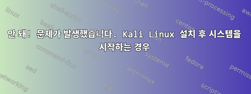 안 돼! 문제가 발생했습니다. Kali Linux 설치 후 시스템을 시작하는 경우