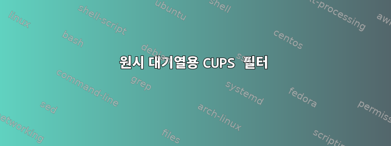 원시 대기열용 CUPS 필터