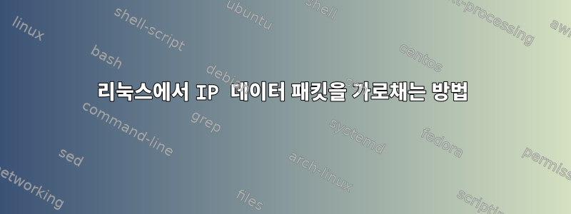 리눅스에서 IP 데이터 패킷을 가로채는 방법