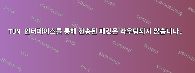 TUN 인터페이스를 통해 전송된 패킷은 라우팅되지 않습니다.