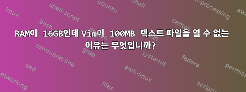 RAM이 16GB인데 Vim이 100MB 텍스트 파일을 열 수 없는 이유는 무엇입니까?