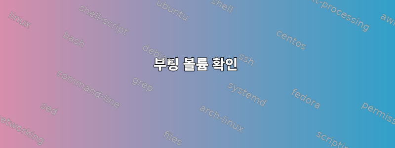 부팅 볼륨 확인