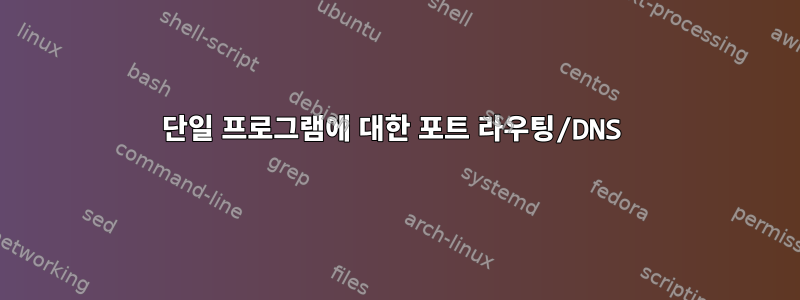 단일 프로그램에 대한 포트 라우팅/DNS