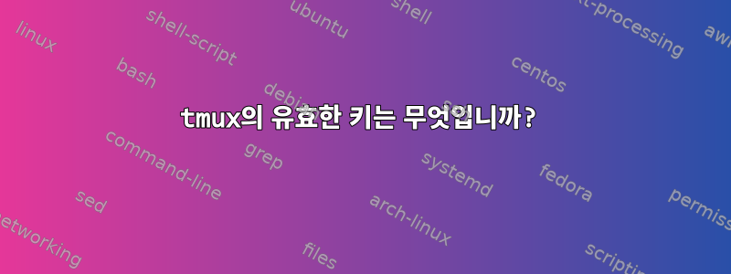 tmux의 유효한 키는 무엇입니까?