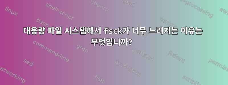 대용량 파일 시스템에서 fsck가 너무 느려지는 이유는 무엇입니까?