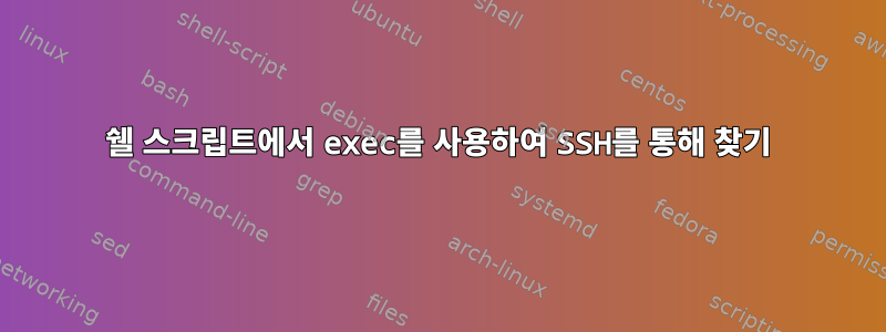 쉘 스크립트에서 exec를 사용하여 SSH를 통해 찾기