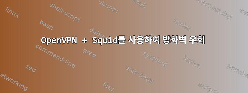 OpenVPN + Squid를 사용하여 방화벽 우회