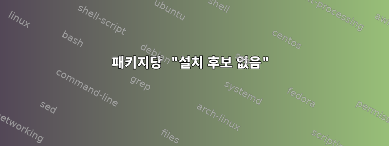 패키지당 "설치 후보 없음"