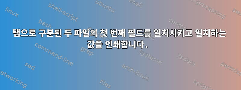 탭으로 구분된 두 파일의 첫 번째 필드를 일치시키고 일치하는 값을 인쇄합니다.