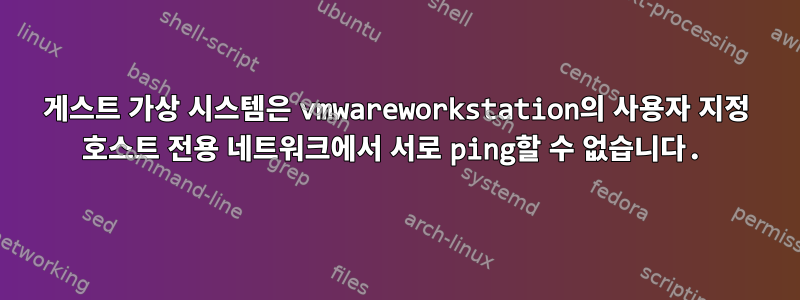 게스트 가상 시스템은 vmwareworkstation의 사용자 지정 호스트 전용 네트워크에서 서로 ping할 수 없습니다.