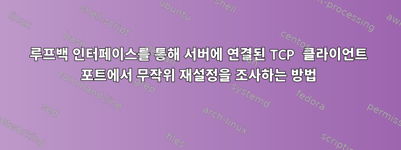 루프백 인터페이스를 통해 서버에 연결된 TCP 클라이언트 포트에서 무작위 재설정을 조사하는 방법